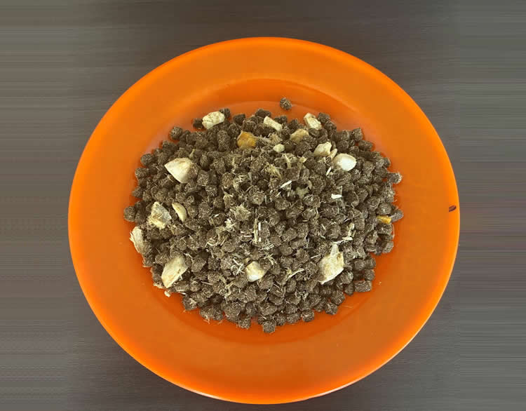 狗糧